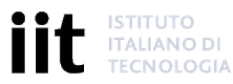 IIT